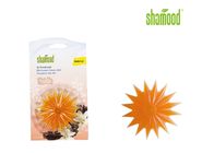 Scented Starfish Concentrated Air Freshener With Stick on Windows