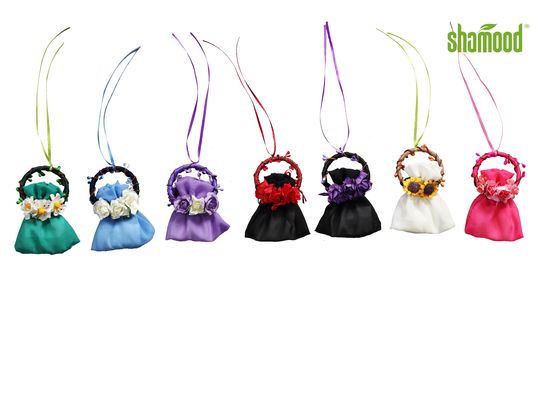 Car Rearview Mirror Hanging Air Freshener Sachets
